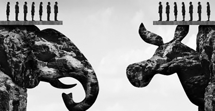 Elephant and Black people